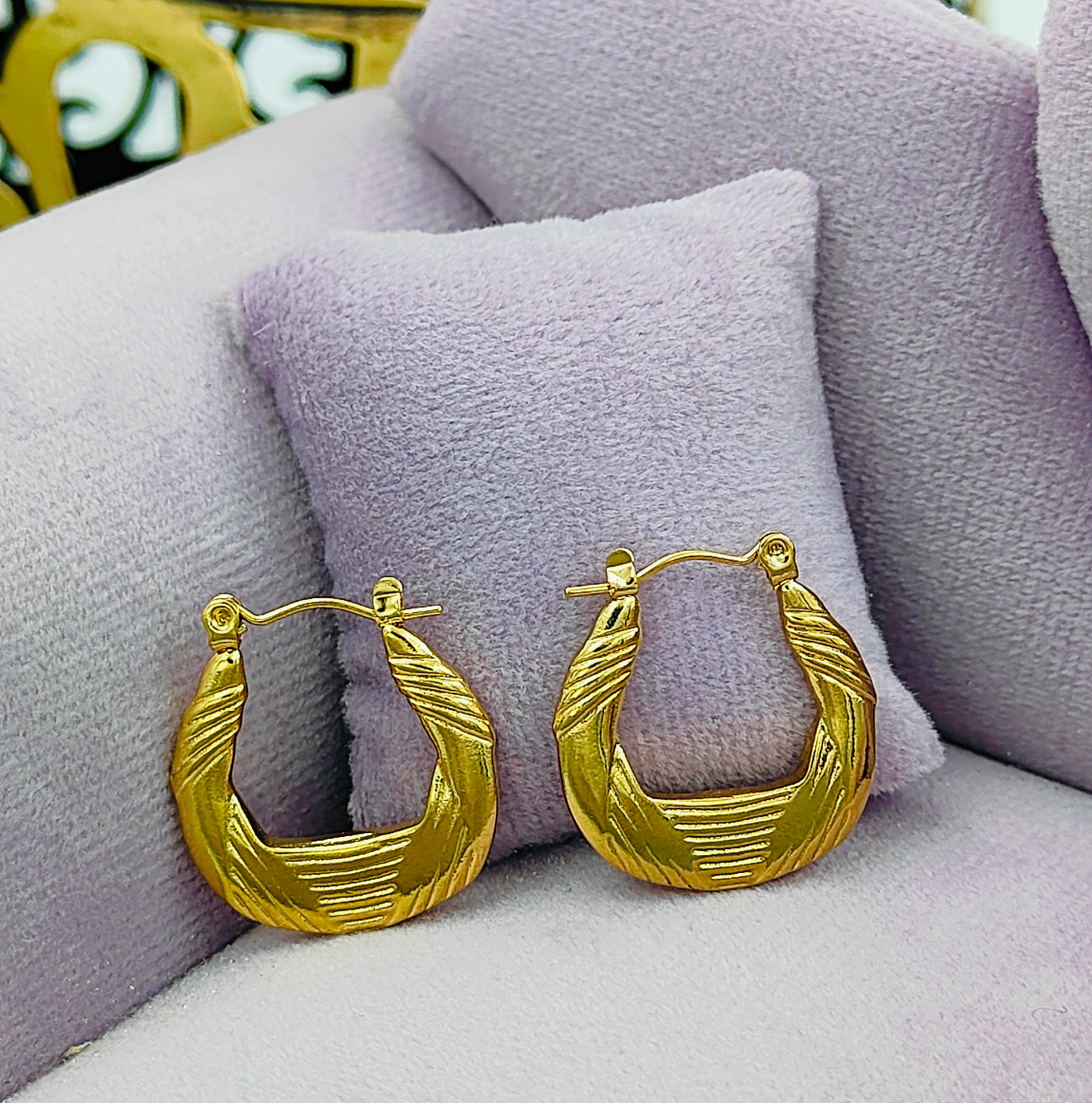 Gold Plated Hoop Stainless Steel Earrings