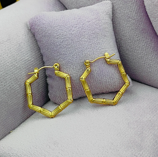 Hexa Hoop Gold Plated Stainless Steel Earrings